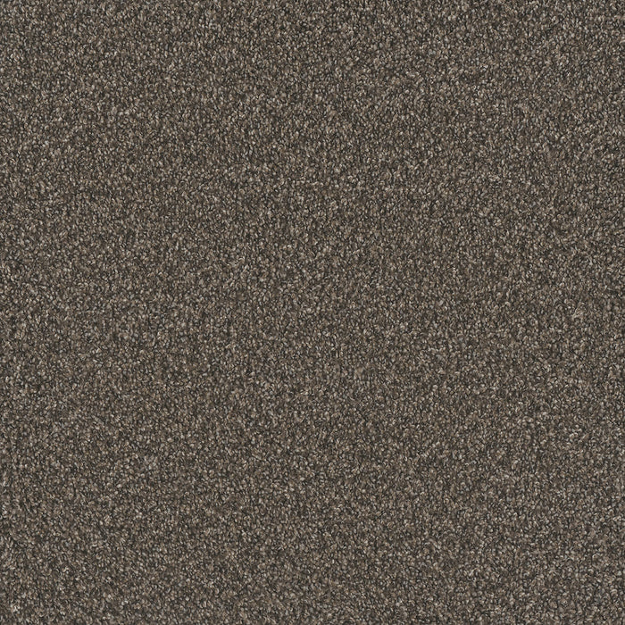 No Limits I Polyester Lava Clay 5113 Carpet Textured 1