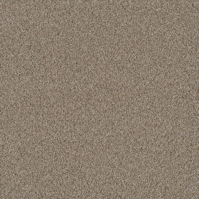 No Limits III Polyester Ambiance 5185 Carpet Textured 1