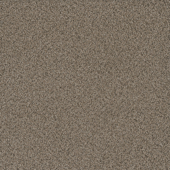 No Limits III Polyester Madura Sands 6117 Carpet Textured 1