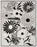 Aloha Polypropylene & Polyester Black White BLKWT