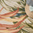 Aloha Ivory Green IVGRE ALH43