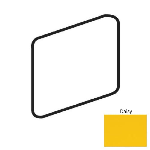 Color Complements Daisy CU97SN4269MT