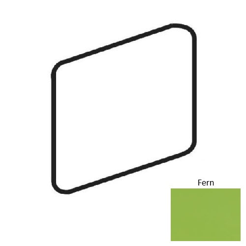 Color Complements Fern CU80SN4269MT