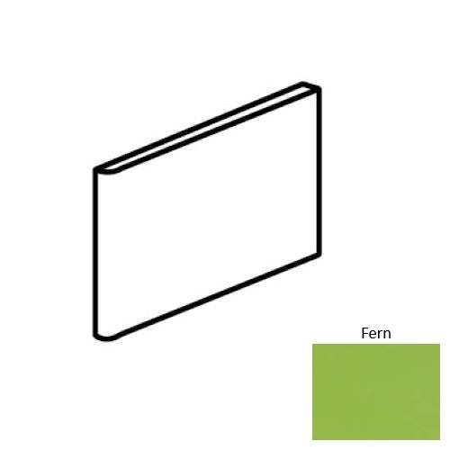 Color Complements Fern CU80S4639MODMT