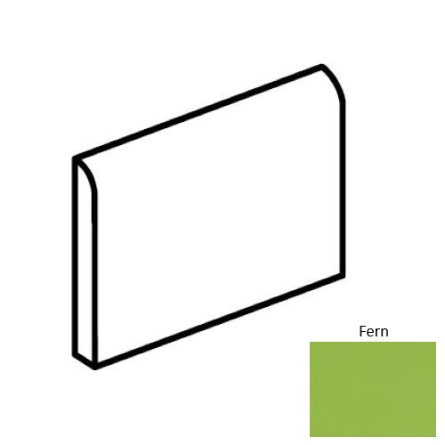 Color Complements Fern CU80S4369MODMT