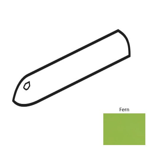 Color Complements Fern CU80AC106MT