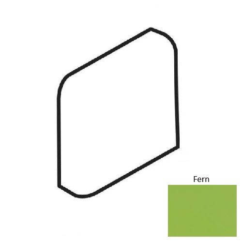 Color Complements Fern CU80AN4200MT