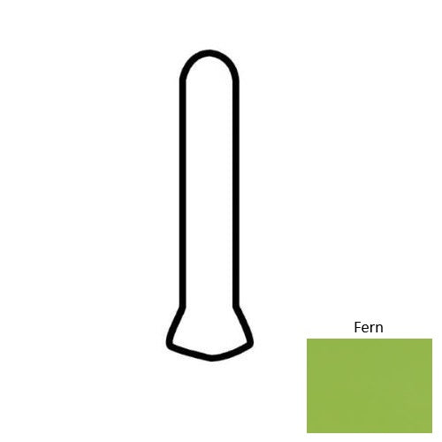 Color Complements Fern CU80SC3619TNMT