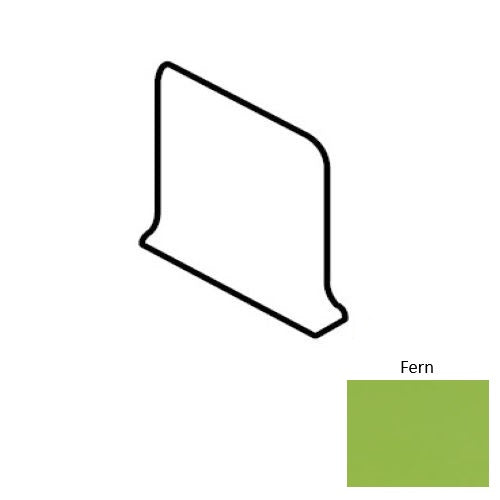 Color Complements Fern CU80SCL3619TMT