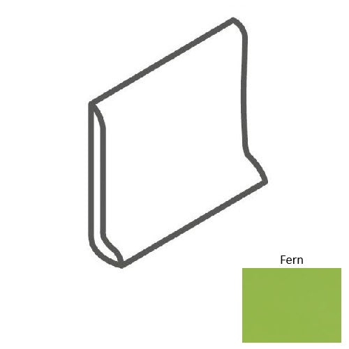 Color Complements Fern CU80S3619TNMT