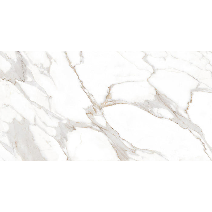 Arya Statuario Platina Porcelain Tile - Polished