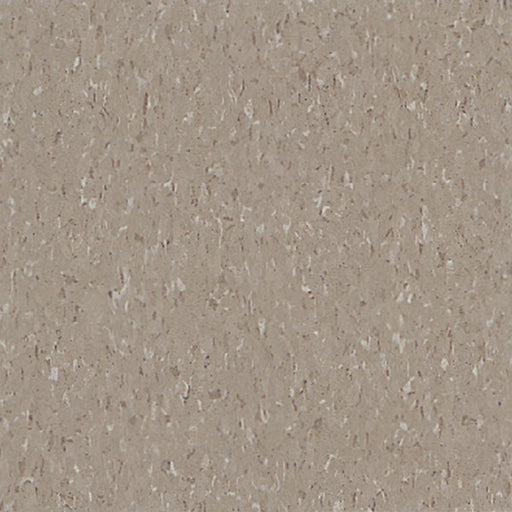 Standard Excelon Imperial Texture Earthstone Greige ARM51804031