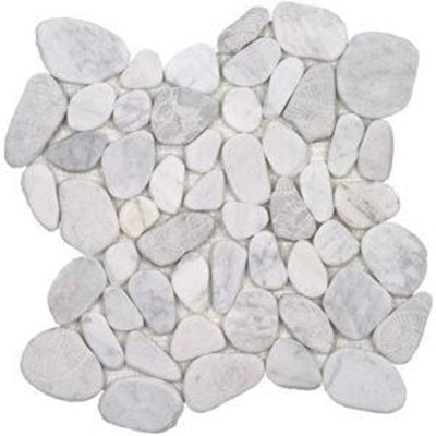 Full Sheet Sample - Aquatica Ocean Stone Sliced Fossil Carrara Pebble Natural Stone Mosaic - 12" x 12" Matte