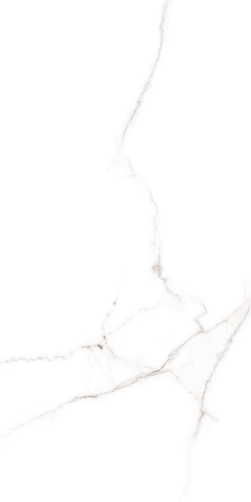 Atlantic Porcelain White Tile Matte 1