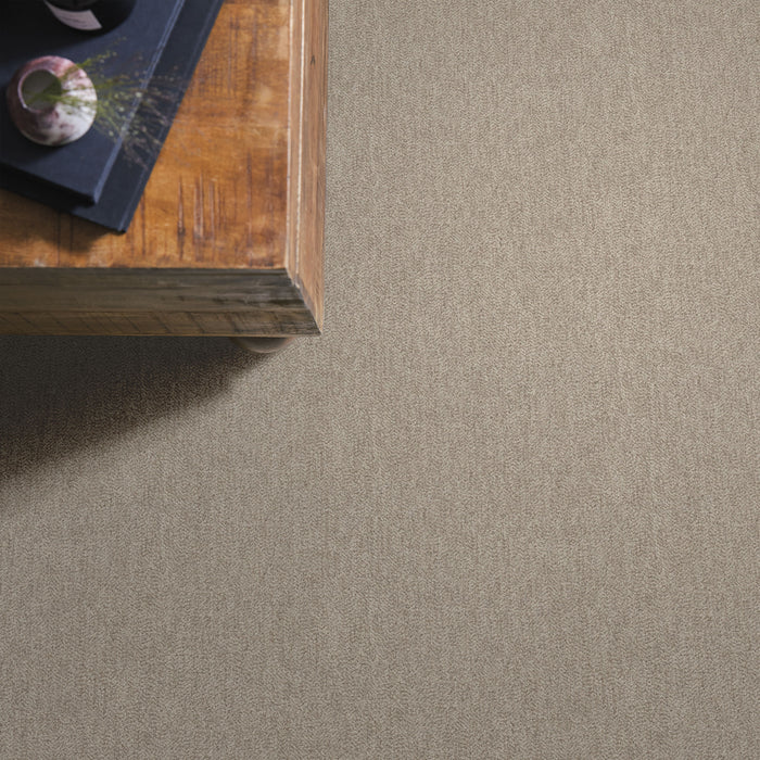 Obscura Nylon Overcast 00110 Carpet Pattern 6