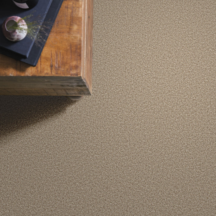 Bella Nova Nylon Cascade 00724 Carpet Textured 6
