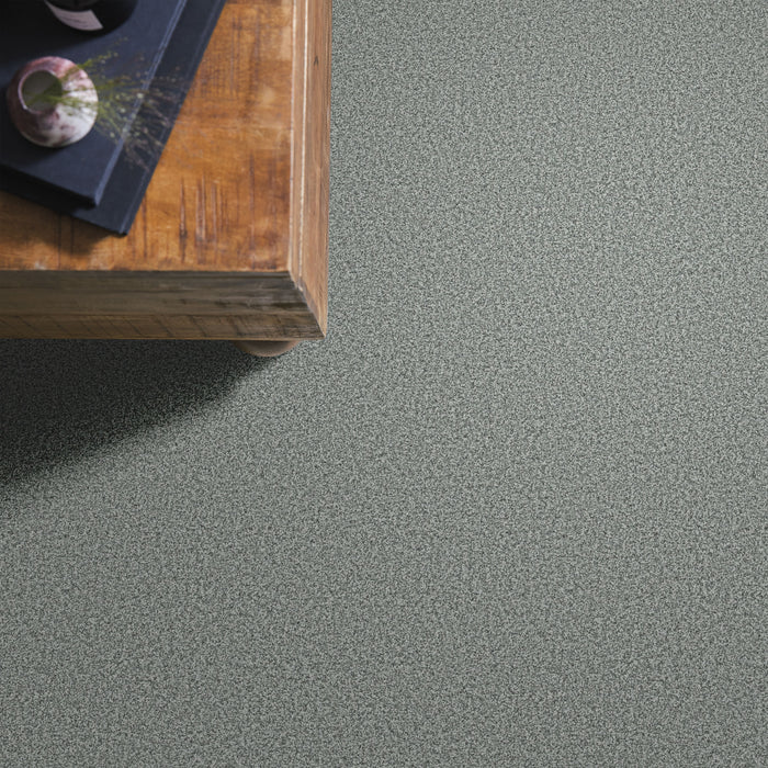 Bella Nova Nylon Oceanic 00450 Carpet Textured 5