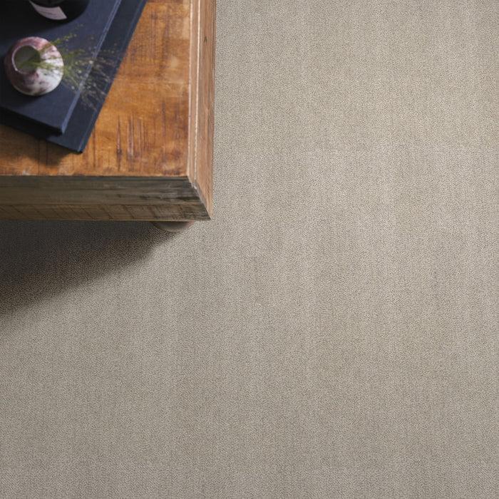 Obscura Nylon Silverglass 00104 Carpet Pattern 6
