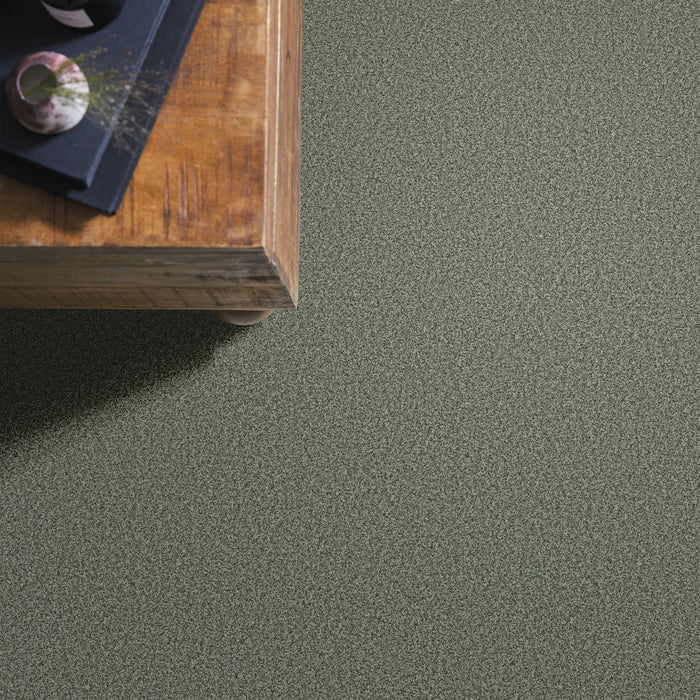 Bella Nova Nylon Oak Grove 00320 Carpet Textured 6