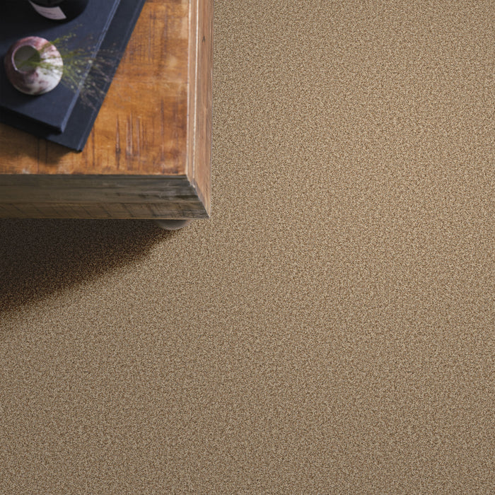 Bella Nova Nylon Savannah 00230 Carpet Textured 6