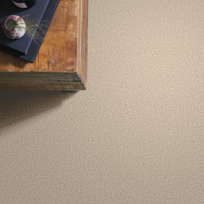 Bella Nova Nylon Salt Air 00130 Carpet Textured 6