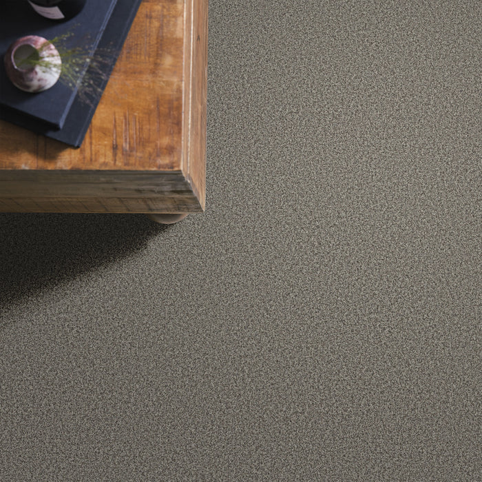 Bella Nova Nylon Sable 00550 Carpet Textured 6
