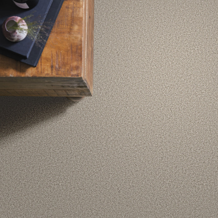 Bella Nova Nylon Misty Dawn 00151 Carpet Textured 6