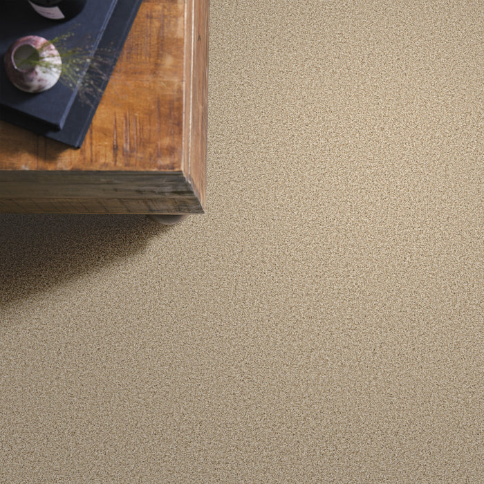 Bella Nova Nylon Beach Grass 00223 Carpet Textured 6