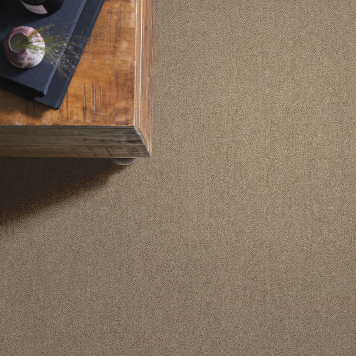 Obscura Nylon Midtone 00700 Carpet Pattern 6