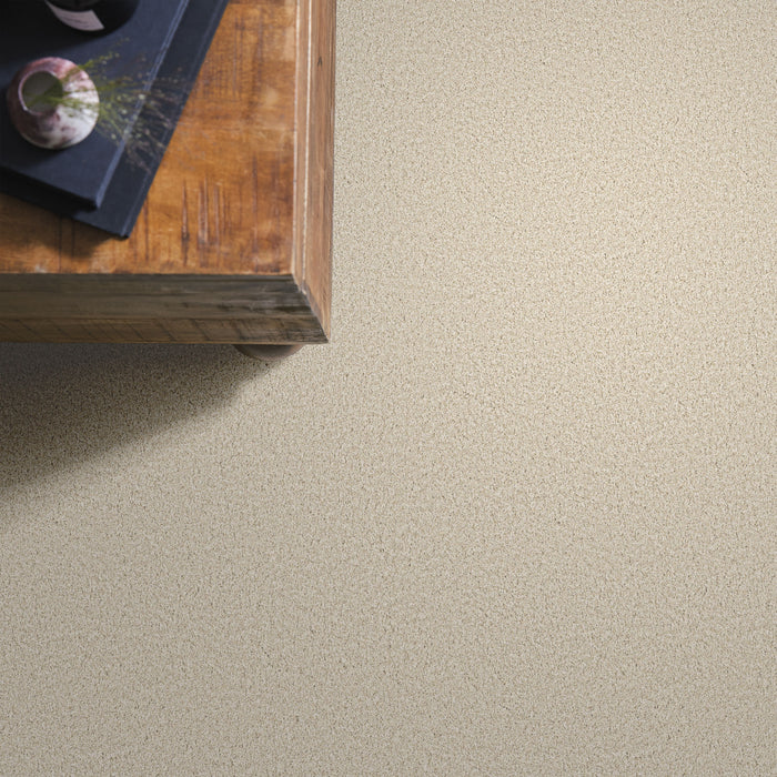 Bella Nova Nylon Light Breeze 00110 Carpet Textured 6