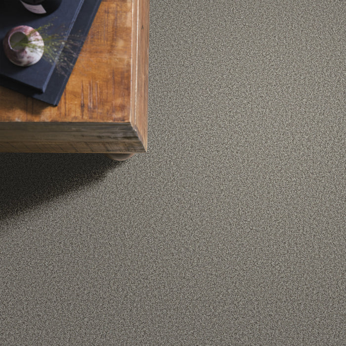 Bella Nova Nylon Chelsea Fog 00544 Carpet Textured 6