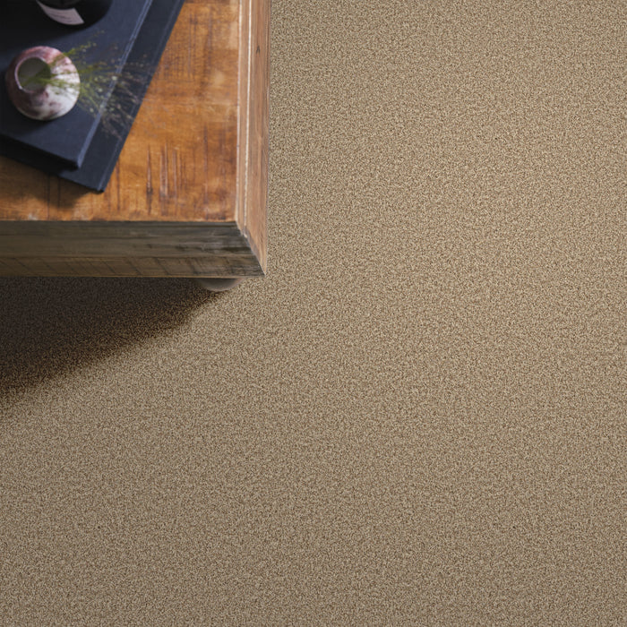 Bella Nova Nylon Nutshell 00764 Carpet Textured 6