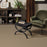 Bella Nova Nylon Nutshell 00764 Carpet Textured 7