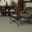 Bella Nova Nylon Highlands 00310 Carpet Textured 7