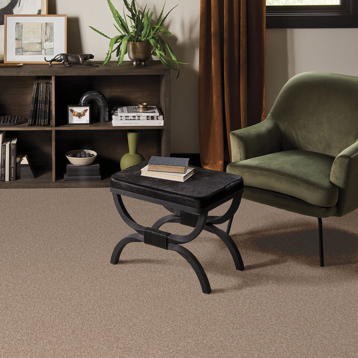 Bella Nova Nylon Potter'S Clay 00623 Carpet Textured 7