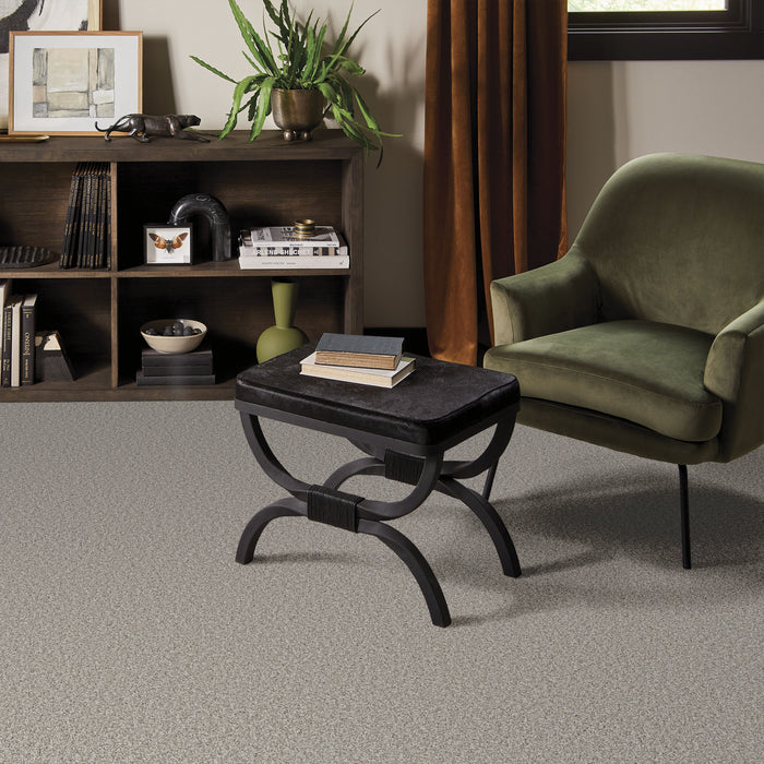 Bella Nova Nylon Platinum 00552 Carpet Textured 7
