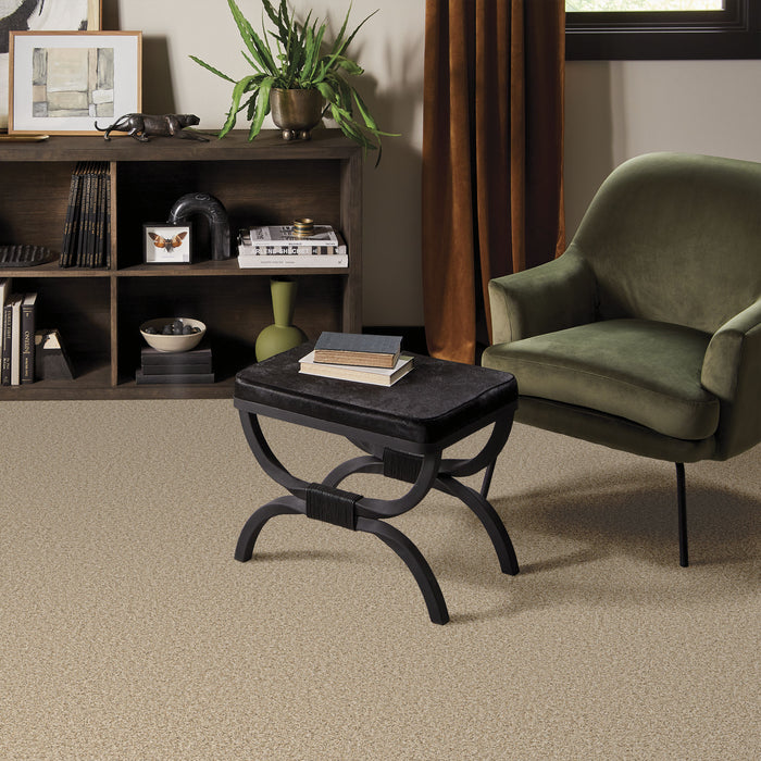 Bella Nova Nylon Beach Grass 00223 Carpet Textured 7