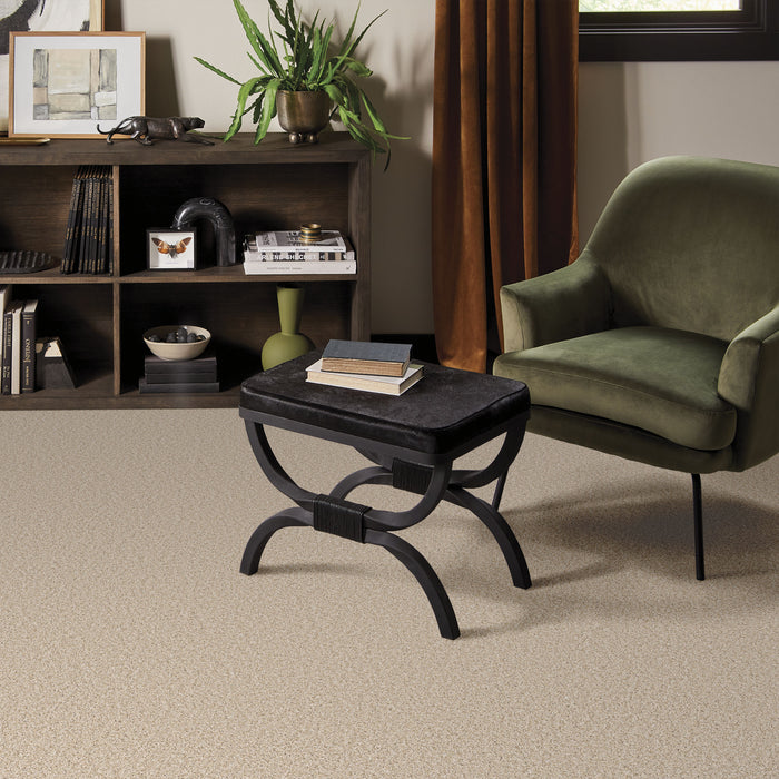 Bella Nova Nylon Salt Air 00130 Carpet Textured 7