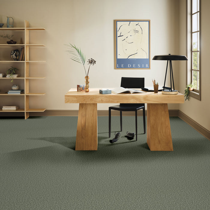 Bella Nova Nylon Oak Grove 00320 Carpet Textured 5