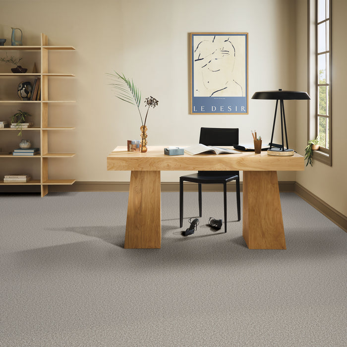 Bella Nova Nylon Platinum 00552 Carpet Textured 5