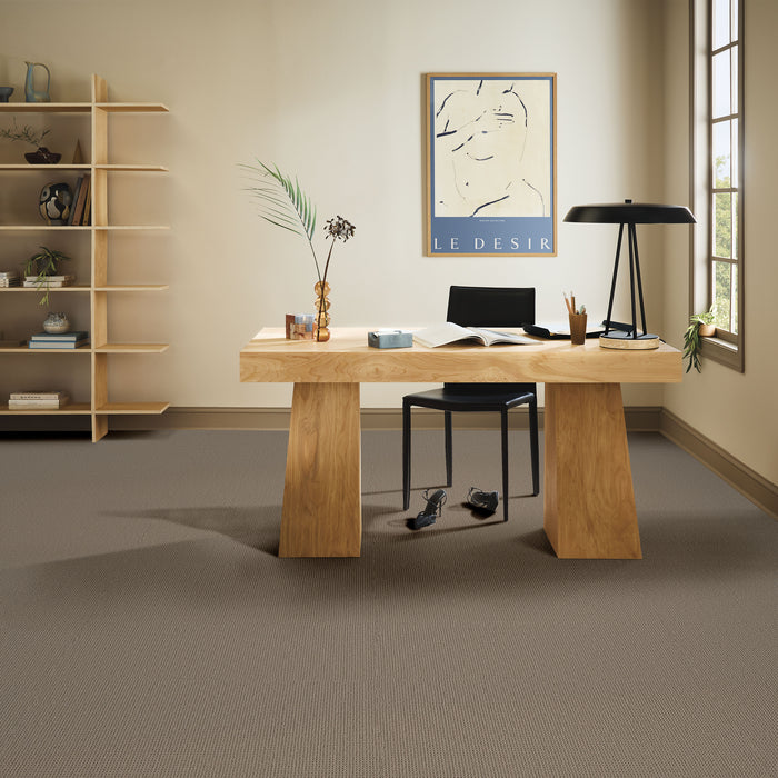 Arden Park Nylon Taupe Gray 00757 Carpet Loop 5