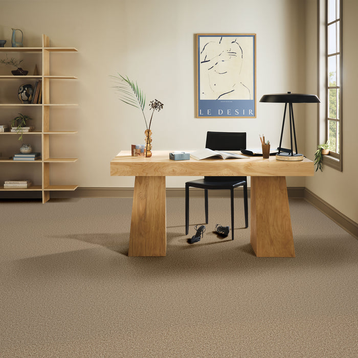 Bella Nova Nylon Nutshell 00764 Carpet Textured 5