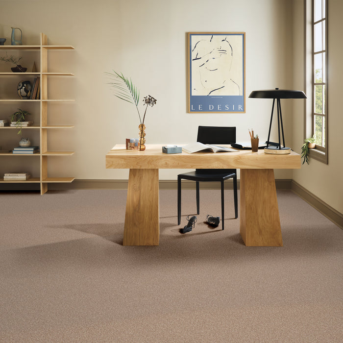 Bella Nova Nylon Potter'S Clay 00623 Carpet Textured 5