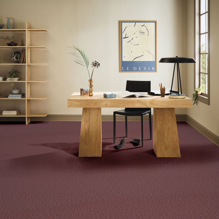 Bella Nova Nylon Tuscany 00870 Carpet Textured 5