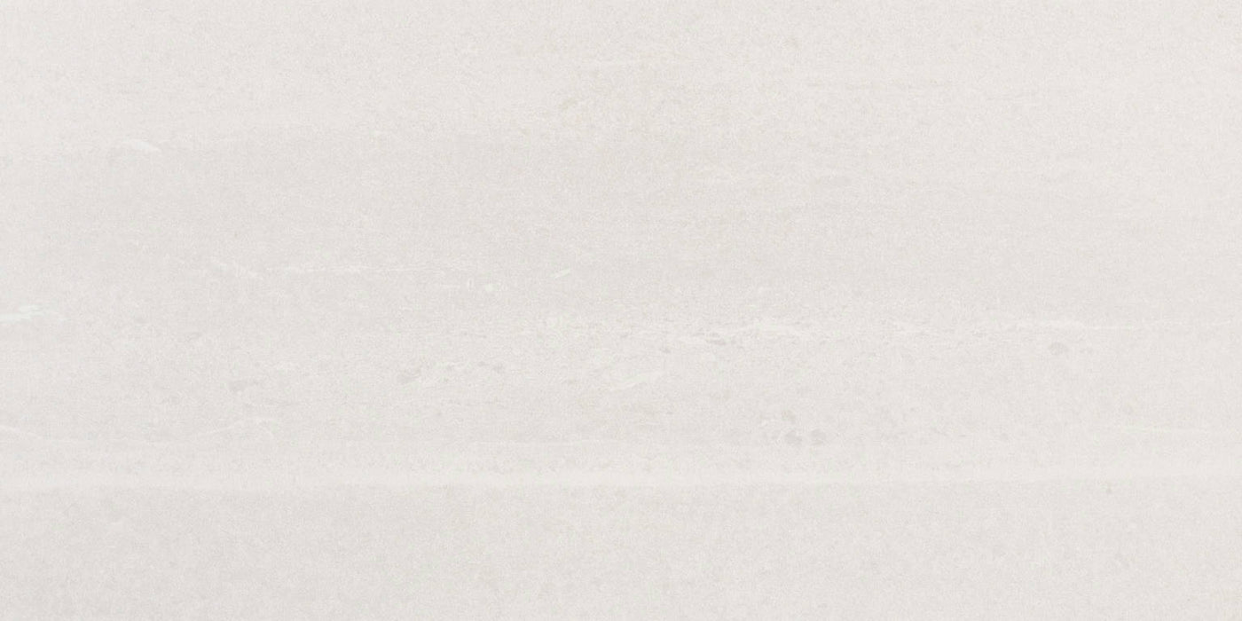 Full Tile Sample - Adrock Frost (New) Porcelain Tile - 12" x 24" x 8 MM Matte