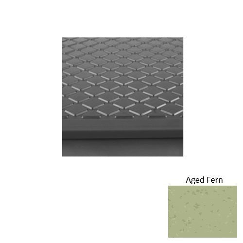 Aged Fern S663