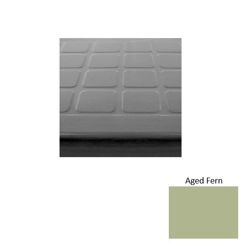 Aged Fern 663