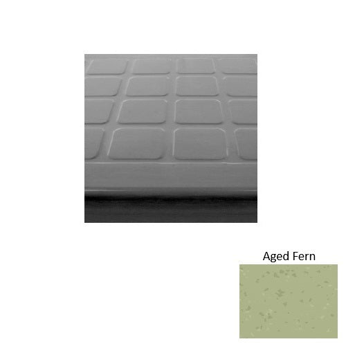 Aged Fern S663