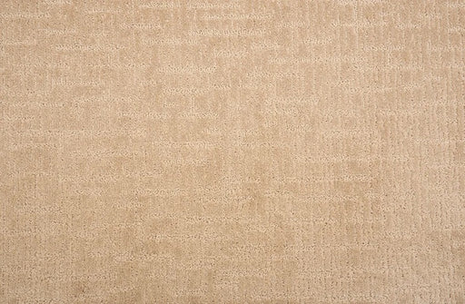 Alistair Solution Dyed Polyes Almond 63944 Carpet ALSTA Loop 1