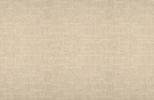 Alistair Solution Dyed Polyes Cream 63943 Carpet ALSTA Loop 1